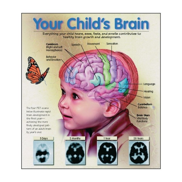 Childs-brain