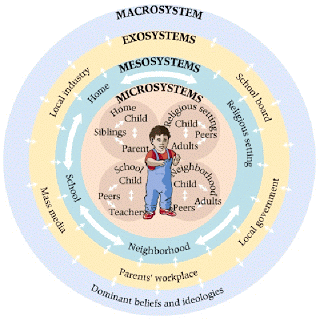 ecological-model-3